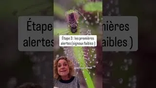 Miniature : L’emprise ne commence jamais mal… et c’est pour ça qu’elle piège