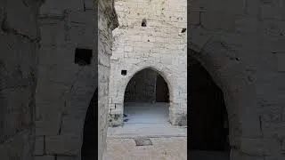 Miniature : Avignon Cloître des Carmes 25 août 2026 (part 03)