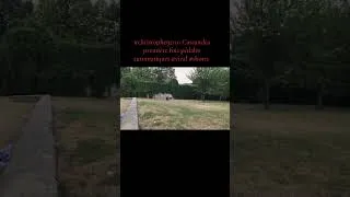 Miniature : #christophe92110 Cassandra première fois pédales automatiques #viral #shorts