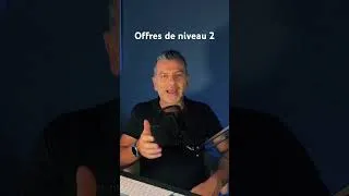 Miniature : Les offres de niveau 2 en marketing