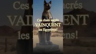 Miniature : Ces chats sacrés VAINQUENT les Egyptiens! #moyenage  #justicemédiévale #histoirechoc