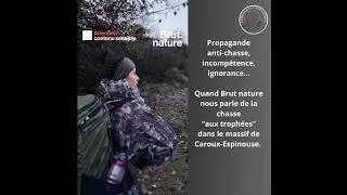 Miniature : Décryptage de propagande anti-chasse. La chasse aux trophées sur le massif de Caroux