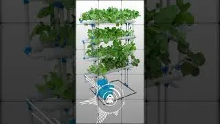 Miniature : Hydroponie | Elle n’est pas belle la vie dans l’effondrement ?