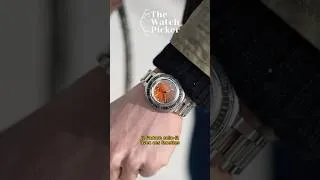 Miniature : Les Squale favorites de Thomas (The Watch Picker) #montreautomatique #montresdeplongée