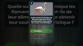 Miniature : 🧠 Quiz culture générale : pourquoi les flamants sont roses ? 🦩 #quiz  #saviezvousque