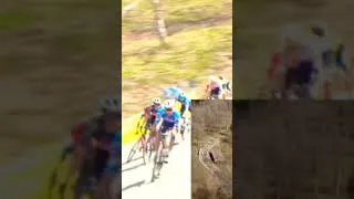 Miniature : IMPRESIONANTE CAIDA deja fuera a VINGEGARD, ROGLIC y EVENEPOEL en la ITZULIA