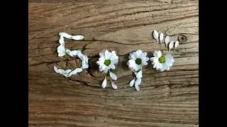 Miniature : Stopmotion 5000 followers sur Intagram