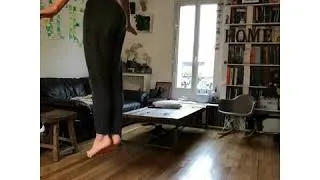 Miniature : Il vole dans son salon
