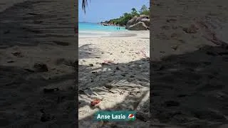Miniature : Un pastel sur la plage à Anse Lazio, Seychelles 😍 #seychelles #pastelsec #softpastel