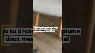 Miniature : Du positif dans le négatif …