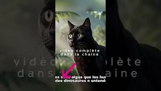 Miniature : Un chat domestique de 4 kg est projeté dans le Jurassique, au milieu des Allosaurus,