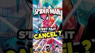Miniature : Spider-Man s’est fait CANCEL ?!