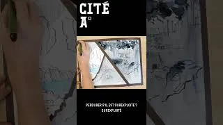 Miniature : La question environnementale chez Jules Verne