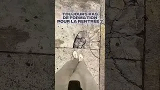Miniature : Toujours pas de formation pour la rentrée 😰😱? #cfailda
