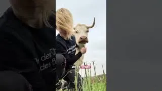 Miniature : Le message d'Anais Foulquier, agricultrice vache et chèvre en transformation fromagère dans la Loire