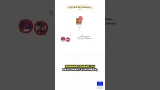 Miniature : ⏱️🗳️ 30 sec pour comprendre : le référendum de 2005 ⏱️🗳️#europe #ue #news #france #referendum #2005