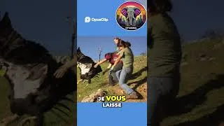 Miniature : Le Condor de Californie: Sauvetage d'une espèce menacée !