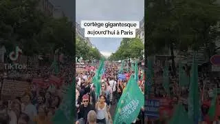 Miniature : Cortège gigantesque pour la manifestation du 8 septembre à Paris