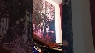 Miniature : what is the song