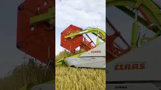 Miniature : La TRION 740 en action ! ✨