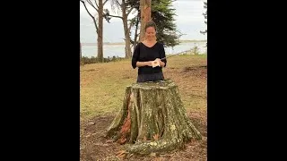 Miniature : Claire Bucelle - Le Violon sous les arbres - La colophane
