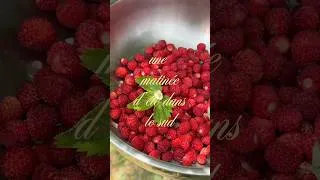 Miniature : Ma routine matinale en vacances 🌺 #morningroutine