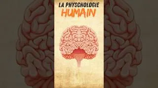 Miniature : Pourquoi certaines personnes préfèrent rester chez elles #psychologie #LeDécodeur #SantéMentale