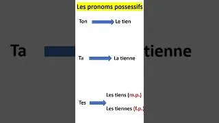 Miniature : Les pronoms possessifs