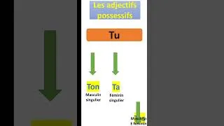 Miniature : Les adjectifs possessifs