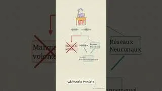 Miniature : 0292 Pourquoi le cerveau préfère les mythes sur le TDAH 2 #education