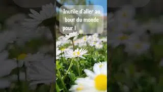 Miniature : Retrouver le calme grâce à l'hypnothérapie Prise de rendez-vous : http://www.hypnosealacarte.fr