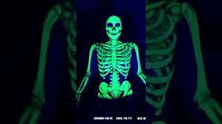 Miniature : #mcroft07 sur #Twitch | she's absolutely lost it  #funny #skull #spooky