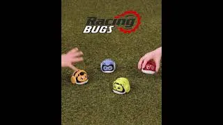 Miniature : Clementoni - Racing Bugs