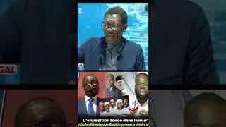Miniature : L'opposition fonce dans le mur' : Le calcul mathématique de Mandela qui donne la victoire à PASTEF !