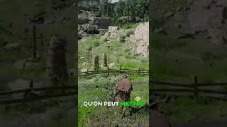 Miniature : 💀 Quand le jeu troll ton OBS... | Crimson Desert