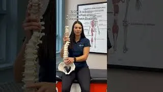 Miniature : Est-ce que les chiropraticiens traitent uniquement le dos?