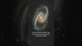 Miniature : La galaxie NGC 1365