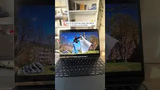 Miniature : si vous aimez la slow life, les loisirs créatifs, la seconde main etc, welcome en fait!