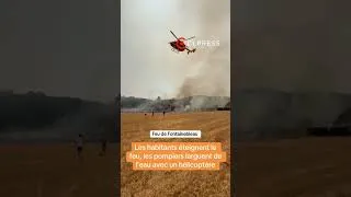 Miniature : 🔥 Fontainebleau : des habitants luttent contre un départ de feu proche des habitations