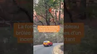Miniature : 🔥 Fontainebleau - 1000 hectares brûlés dans la forêt par un incendie exceptionnel