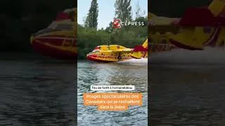 Miniature : 🔥 Fontainebleau : les Canadairs se ravitaillent dans la Seine pour combattre l'incendie de la forêt