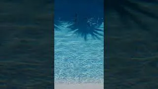 Miniature : 20210630 091353