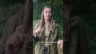 Miniature : Adoptez une réserve naturelle : devenez conservateur ou conservatrice !