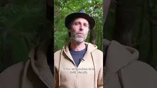 Miniature : Écologie des forêts naturelles #forêts