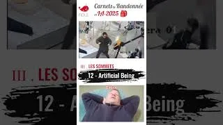 Miniature : Rando en IA25 - 12.Artificial Being