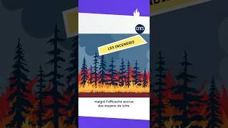 Miniature : Comment prévoir les feux de forêt ? 🔥 | L'infographie du mois