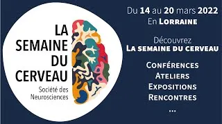Miniature : Découvrez La Semaine du Cerveau 2022 - En Lorraine