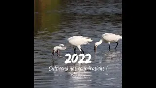 Miniature : Coactions - 2022, Cultivons nos Coopérations