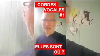 Miniature : CORDES VOCALES - Où elles se trouvent ? Précisément, je veux dire :-)