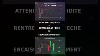 Miniature : Comment trader les excès de prix #formation #trading #scalping #nasdaq